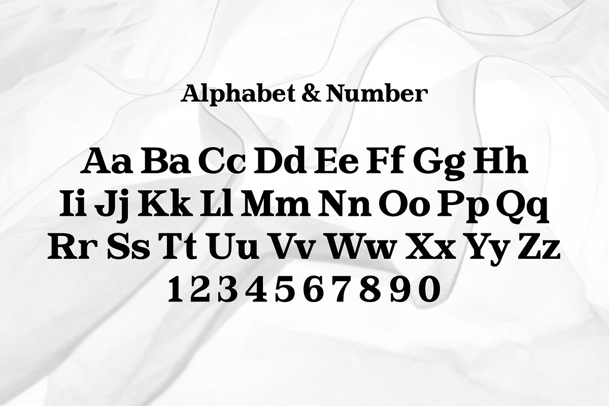Goldtext - Versatile Bold Serif, a Serif Font by Attractype (Photo 7 of 8)
