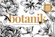 Botanical Illustration Bundle, an Illustration by Rough Edges Supply Co. (Thumbnail 1 of 17)