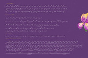 Betany Katepia Beauty Calligraphy, a Script Font by stylishtype.co (Thumbnail 19 of 20)