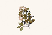 Herbarium: Pressed Dry Flowers vol.1, a Decorative Illustration by AnaPierceArt (Thumbnail 2 of 12)