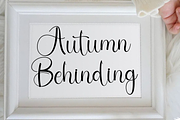 Briliant Calligraph, a Handwritten Font by InermediaSTUDIO (Thumbnail 4 of 8)