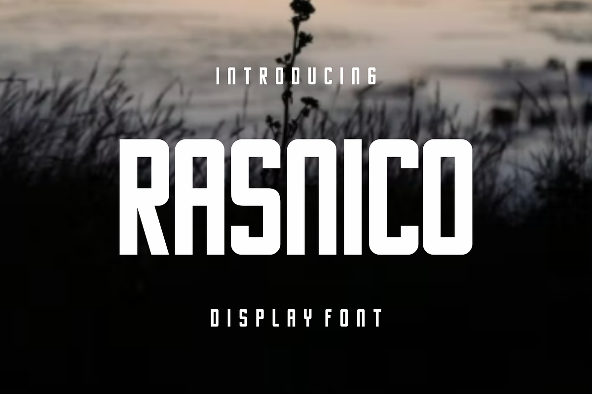 Rasnico, a Sans Serif Font by lelevien (Photo 3 of 6)