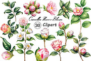 Camellia Flower Bloom PNG Clipart, an Illustration by Creative Art (Thumbnail 1 of 10)