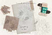 Lotus Blooms & Floral Arrangements, an Illustration by Pigment Café (Thumbnail 3 of 3)
