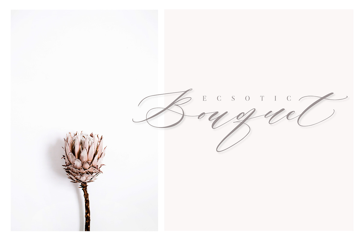 Roselyn Script, a Script Font by Calamar Studio (Photo 9 of 13)