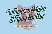 Maxplein Modern Script Bold Logotype, a Script Font by timelesstype.co (Thumbnail 9 of 20)