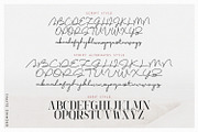 Brownie Font Duo, a Script Font by FactoryType Studio (Thumbnail 7 of 9)