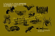 HARVEST GOTHIC Illustrations, a Seasonal Illustration by Desert Poetic (Thumbnail 5 of 10)