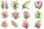 Whimsical Summer Tropical Leaf Clipa, an Illustration by Designworld (Thumbnail 4 of 8)