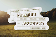 Bagin Font | Modern Editorial Serif, a Serif Font by Koplexs Studio (Thumbnail 11 of 12)