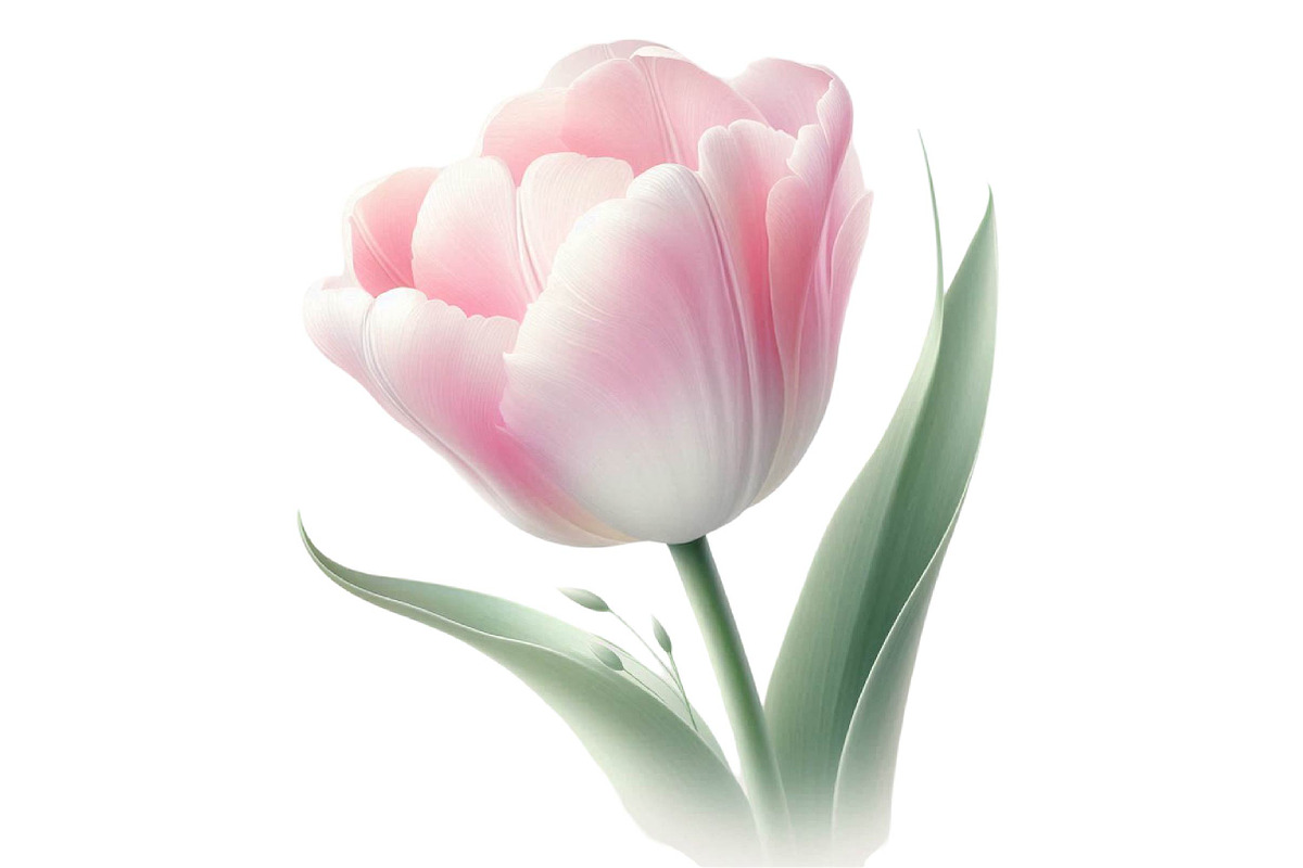 Summer Flowers Sublimation Clipart P, an Illustration by Designking (Photo 3 of 6)