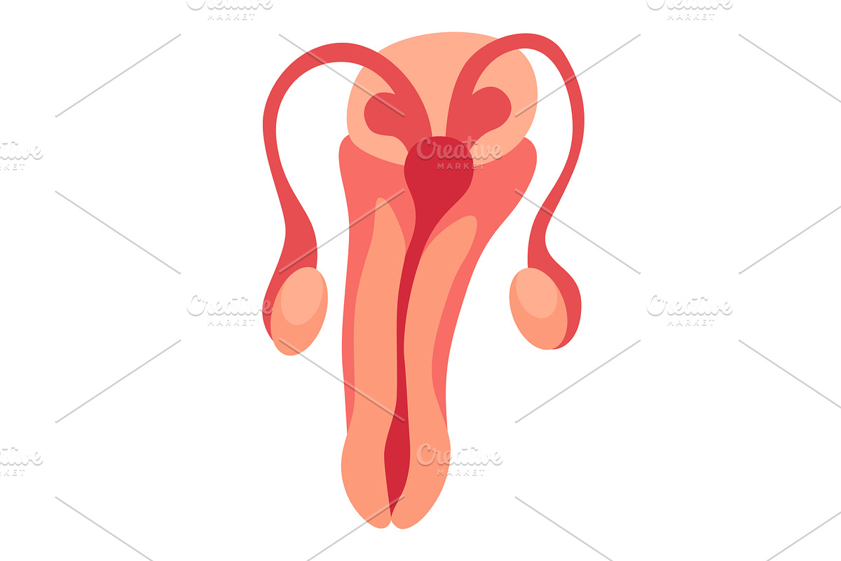 Internal human body organ -, an Object Illustration by Things for designers