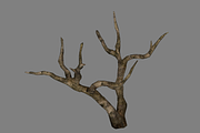 Dead_Tree_2, an Environmental 3D Model by 2dawngames (Thumbnail 3 of 3)