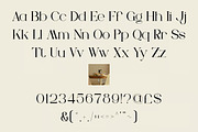 Valorax – Elegant Luxury Serif, a Serif Font by Brand Earth (Thumbnail 2 of 10)