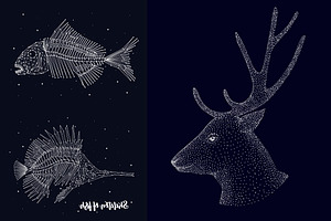 Constellation Of Animals