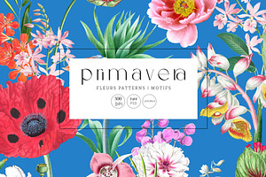 Primavera Fleurs bold floral prints!