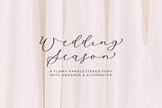 Wedding Season Script, a Script Font by Beck McCormick (Thumbnail 1 of 10)