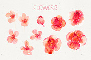 Clementine - watercolor set, a Work Illustration by Charushella (Thumbnail 2 of 6)