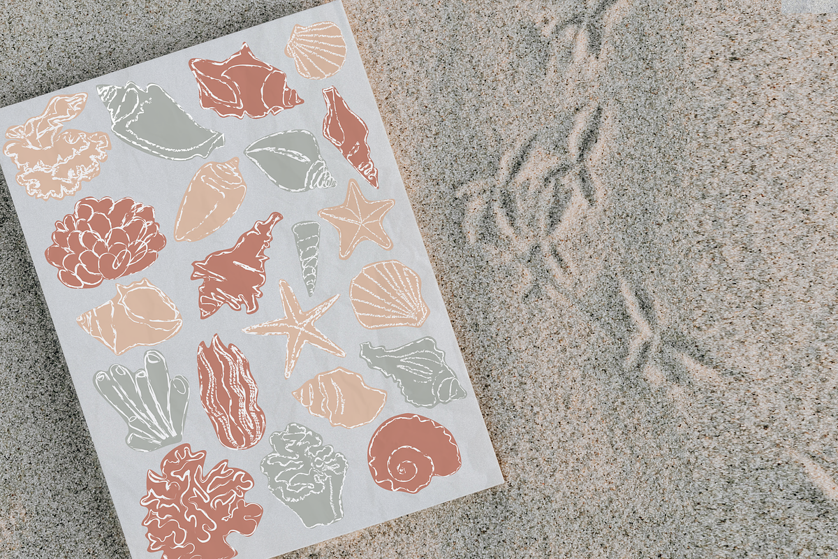 Seashell vector line art, an Illustration by Zeukaa (Photo 4 of 4)
