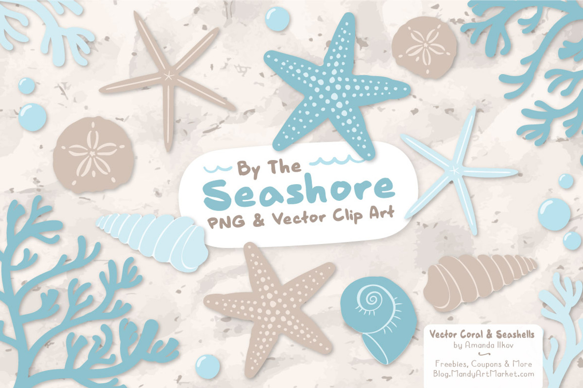Soft Blue Vector Seashells, an Illustration by Amanda Ilkov (Photo 1 of 5)