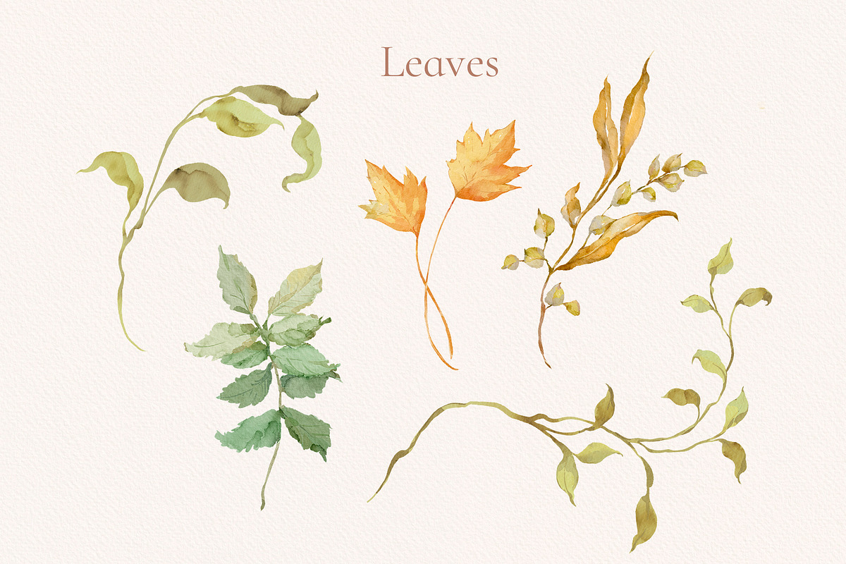Wild Flower Clip art, a Decorative Illustration by Ekaproeka (Photo 4 of 10)