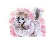 Watercolor Dogs Mega Big Bundle, an Illustration by Dneprstock (Thumbnail 53 of 60)