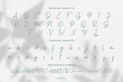 Haslley Beautiful Monoline, a Script Font by Wortfice (Thumbnail 3 of 17)
