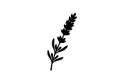 Lavender Botanical Silhouette Set, an Object Graphic by Designs_River (Thumbnail 2 of 3)