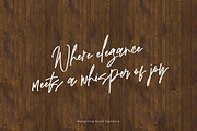 Westerning - Brush Signature, a Handwritten Font by tebaltipislab (Thumbnail 4 of 12)