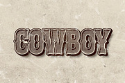Bullet - Rustic Cowboy Serif, a Serif Font by OWPictures (Thumbnail 4 of 10)