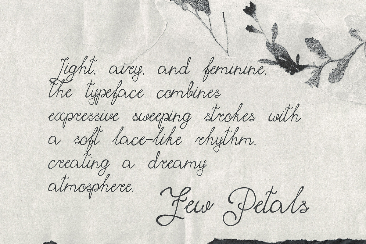 Few Petals. Dreamy Script Typeface, a Script Font by softulka (Photo 4 of 7)