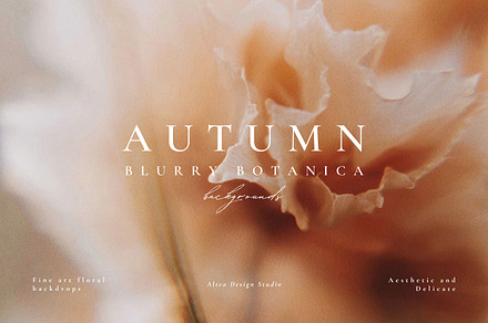 Autumn Blurry Floral Backgrounds, a Background Graphic by Altea Design Studio