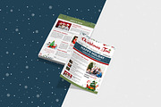 Christmas Newsletter Template, a Flyer Template by crazyOWL (Thumbnail 2 of 3)