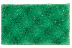 Rectangular piece of green porous sponge on isolated background, an Abstract Photo by ndanko