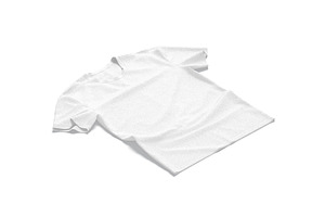 Flat Lay T-shirt Wrinkled 3D Model