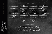 Brilian Signature Monoline Font, a Script Font by Ronny Studio (Thumbnail 9 of 9)
