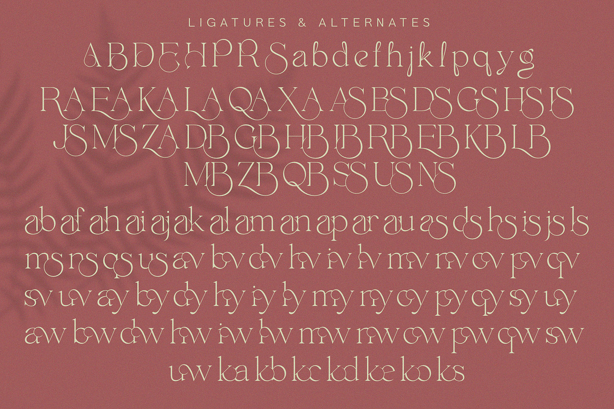 Envegas, a Serif Font by Sealoung (Photo 15 of 16)