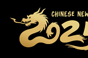 Chinese New Year 2025 Dragon Vector, a Background Graphic by RAHMAT (Thumbnail 3 of 4)
