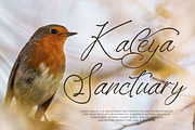 Kaleagnetta, a Handwritten Font by Integritype Studio (Thumbnail 2 of 15)