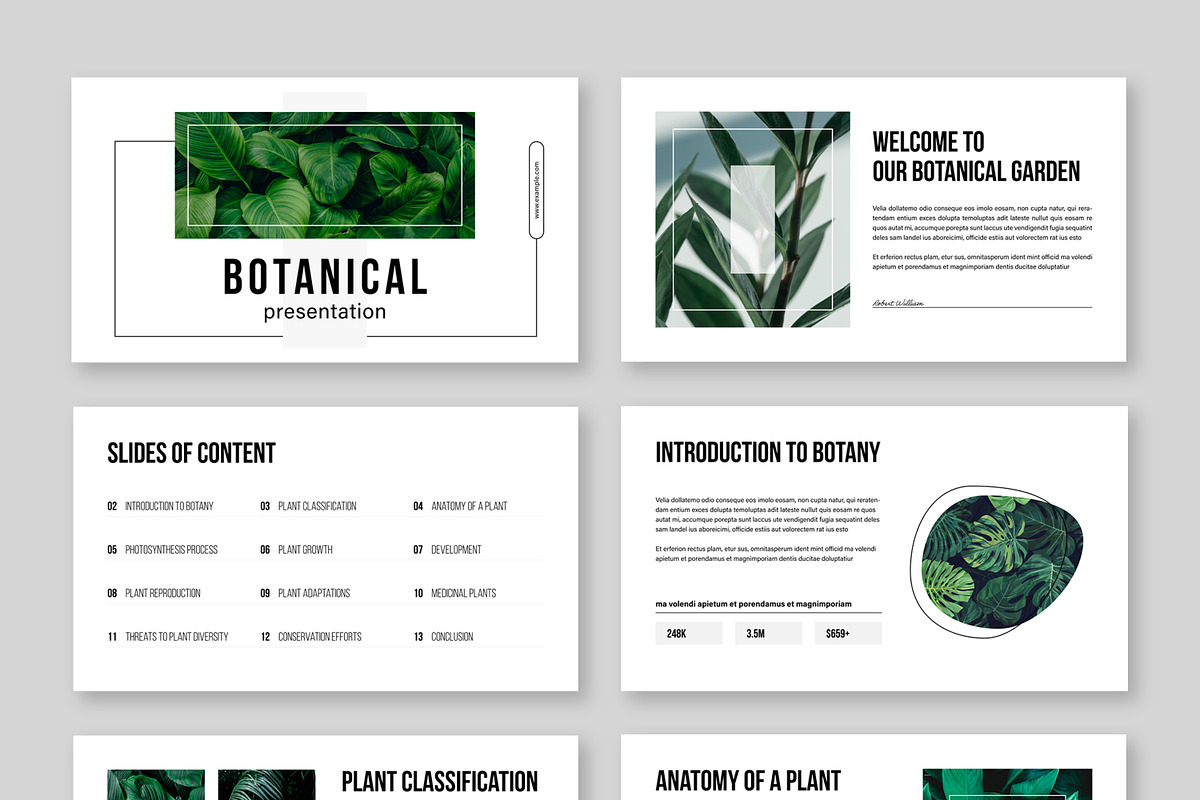 Botanical Presentation, a Presentation Template by MightyDesign (Photo 2 of 7)