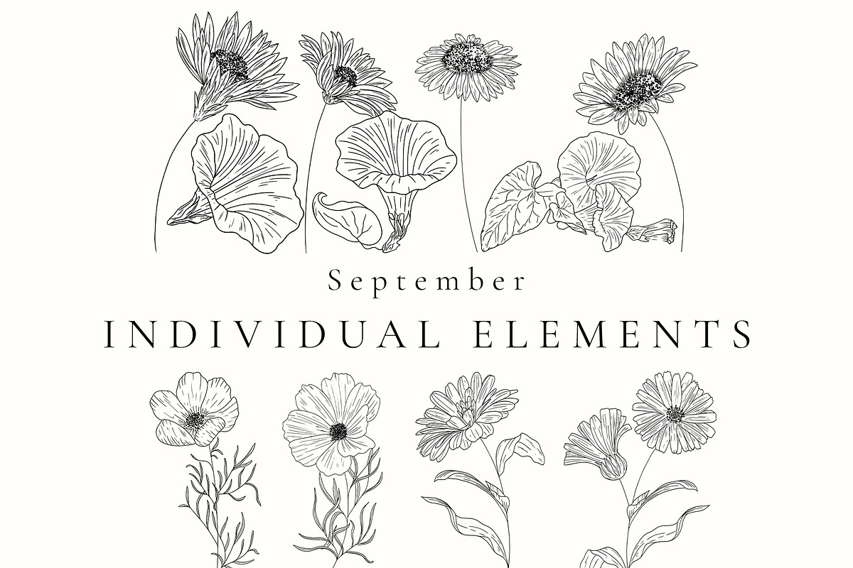 Birth Month Flowers SVG - PNG, a Decorative Illustration by AW Studios (Photo 7 of 11)