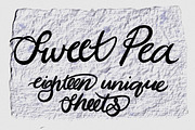 Odds & Ends Paper Texture Pack, a Texture Graphic by JillianDeGrieIllustration (Thumbnail 15 of 17)
