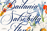 Barlimena Script, a Script Font by IM Studio (Thumbnail 3 of 13)
