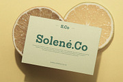 Calm - Slab Serif Family, a Slab Serif Font by Krismagraph (Thumbnail 6 of 12)