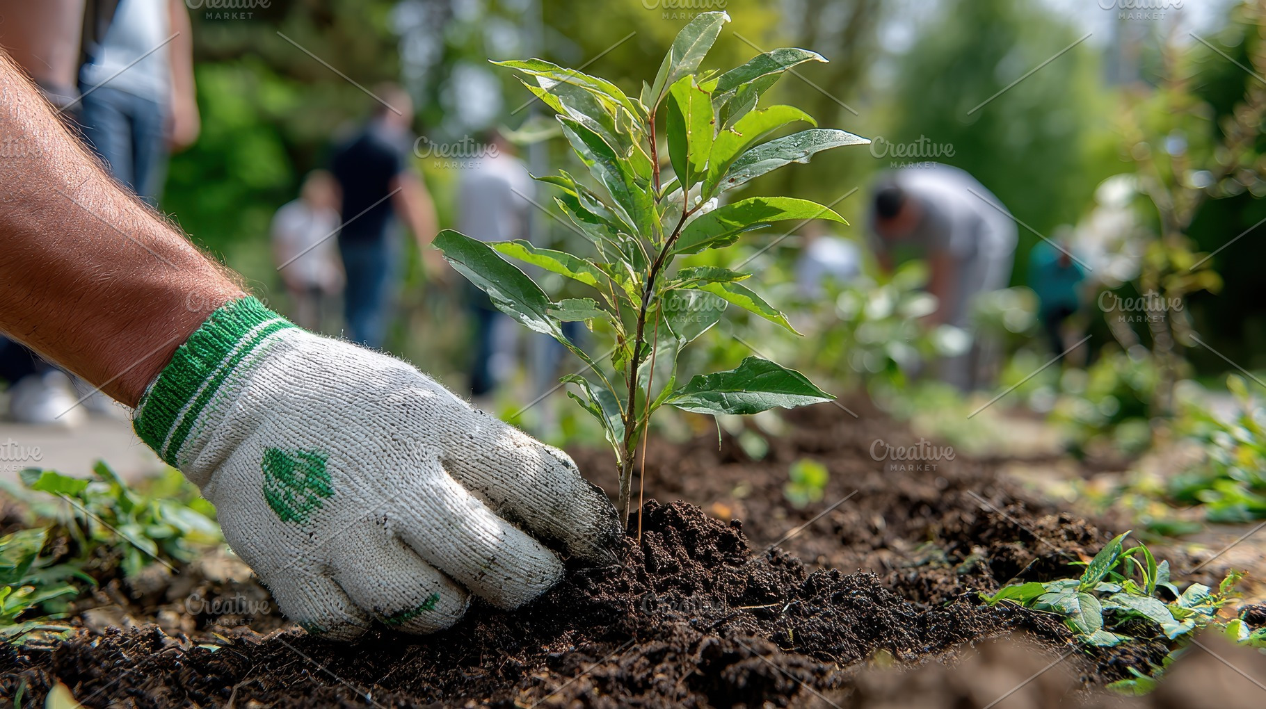 Planting a sapling in a park volunte, a Photo by Pixeness Studio