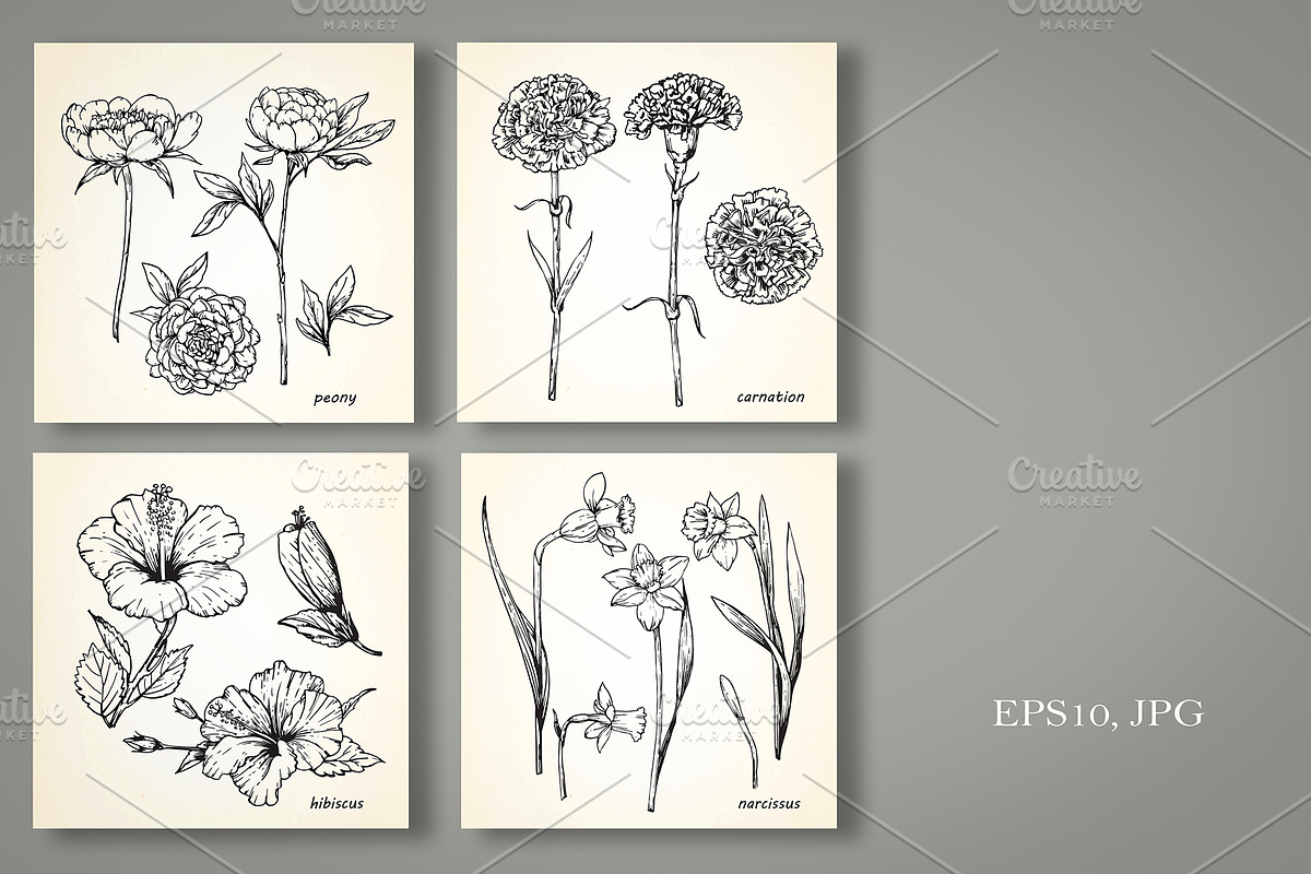 Set of Flowers, an Illustration by Victoria_Novak (Photo 3 of 5)