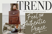 The Brands Quest Signature Brush, a Script Font by Creatype Studio (Thumbnail 3 of 9)