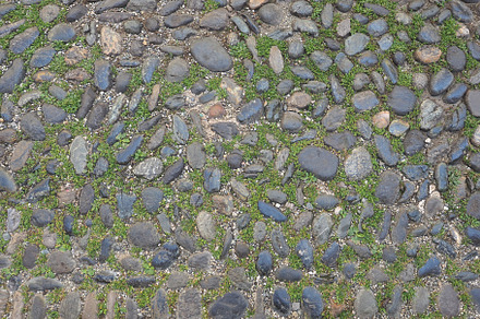 grey cobblestone floor background, a Background Photo by WorldPhotos