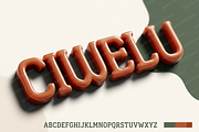 Ciwelu | A Sophisticated Serif, a Serif Font by Astuti Studio (Thumbnail 17 of 25)