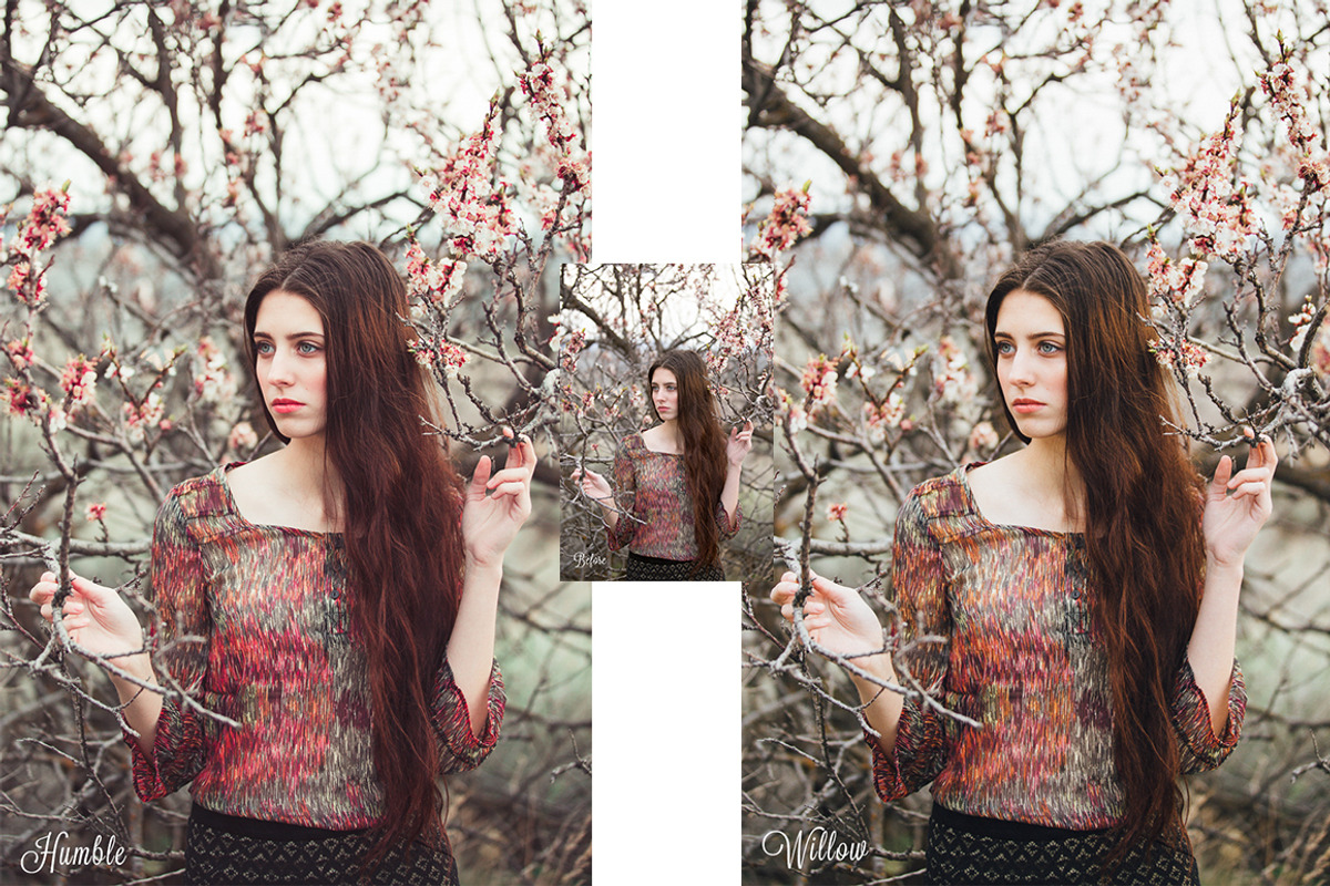 Classic Matte Presets-Lightroom, a Plug-in Add-On by ElyanaIvette (Photo 6 of 9)